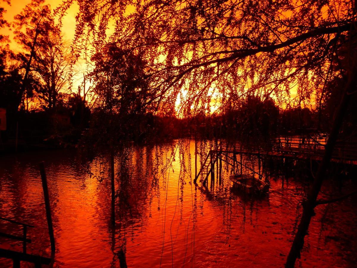 Cabana Sol De Medianoche Delta Tigre Bagian luar foto